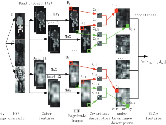 Figure 1: Flowchart of the gBiCov representation. Color images are first split into 3 color channels (HSV)