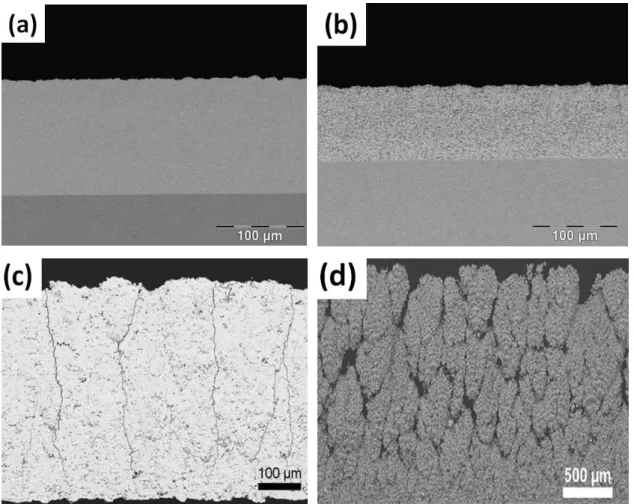 Figure 1.28 Revêtements SPS de microstructure différente: (a) structure fine dense et  homogène [184], (b) structure poreuse [184], (c) structure poreuse avec fissures verticales 
