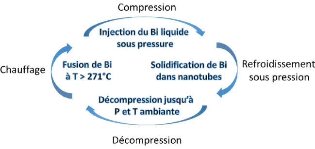 Figure 1-13 : schéma simplifié du processus de l’insertion de Bi sous pression  