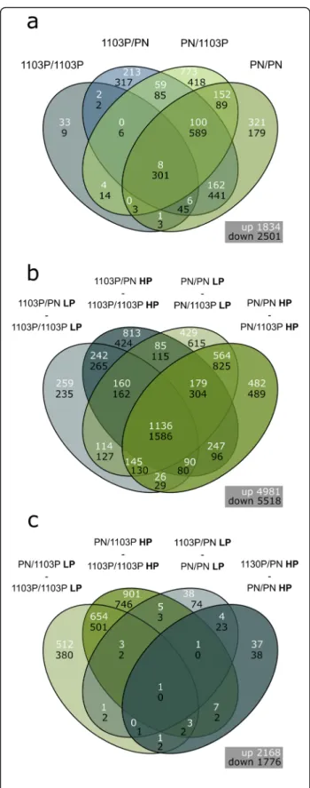 Fig. 2 Venn diagram comparison of the number of shared and unique differentially expressed genes (log fold change &gt; 1, false discovery rate adjusted p -value &lt; 0.01) that a.) responded to 27 h low phosphate treatment in different scion/rootstock comb