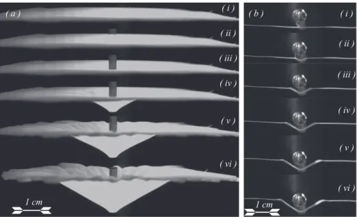 Figure 2. (a): Impact of a steel cylinder on a thin rubber sheet of radius r 0 = 60 mm and thickness h = 0.10 mm