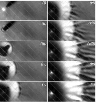 Figure 4. Close bottom view of the transverse wavefront after impact of a steel ball at V = 5.2 m s − 1 on a thin rubber sheet