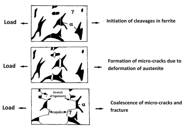 Figure 1.6 Illustration of mechanism of ductile damage in aged duplex steels at room temperature [Le  Roux 99]