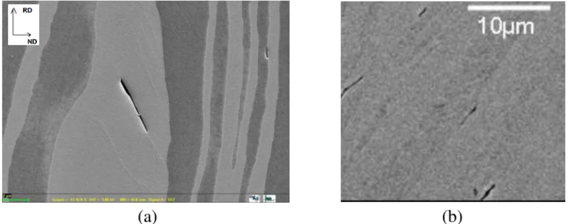 Figure  1.9  SEM  picture  for  initiation  of  damage,  a  crack  occurred  along  slip  plane  within  ferretic  phase (a); interfacial cracks occurred on the boundaries between two phases (b) [Le Joncour 11]