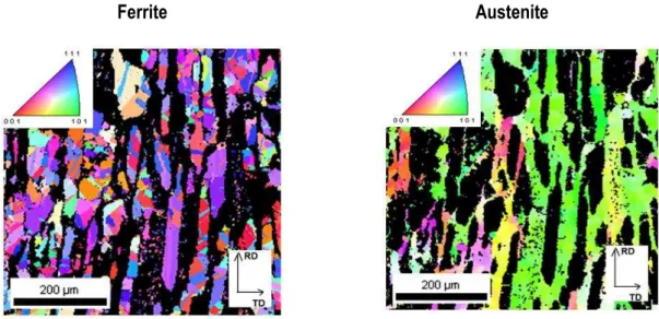 Figure  1.12  Microstructure  of  the  UR45N  duplex  stainless  steel  determined  by  EBSD  method