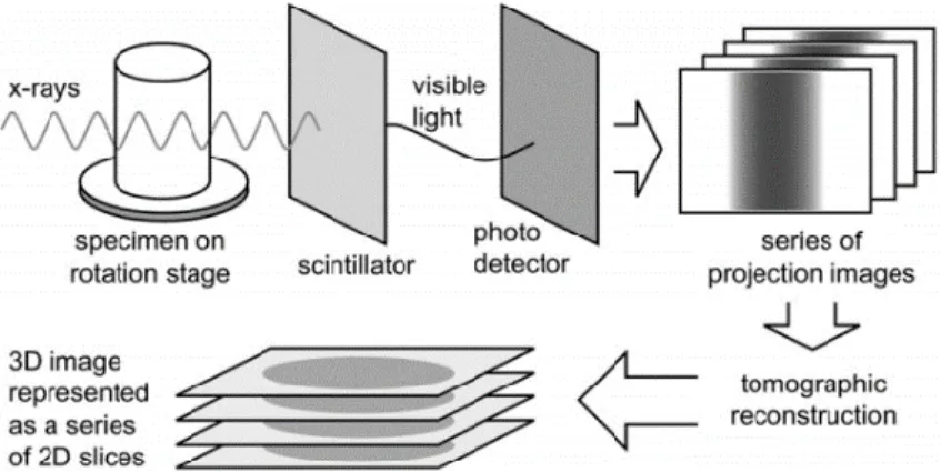 Figure 1.25 Schematic illustration of X-ray tomography acquisition and reconstruction  process (Landis &amp; Keane, 2010) 