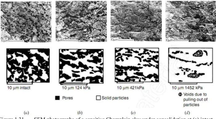 Figure 1.31 SEM photographs of a sensitive Champlain clay under consolidation at (a) intact  state (b) 124 kPa (c) 421 kPa (d) 1452 kPa