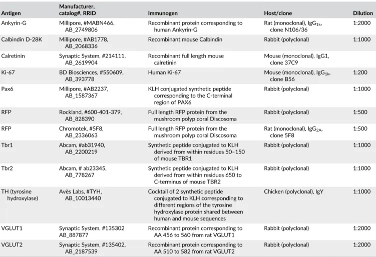 TABLE 1 Primary antibodies used in this study Antigen