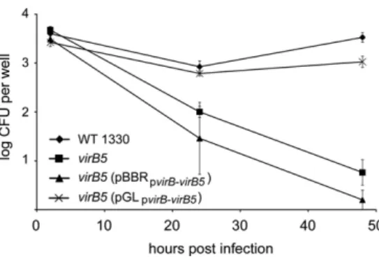 Fig. 2. Overproduction of VirB5 and presence of multiple copies of the virB promoter region attenuate wild type B