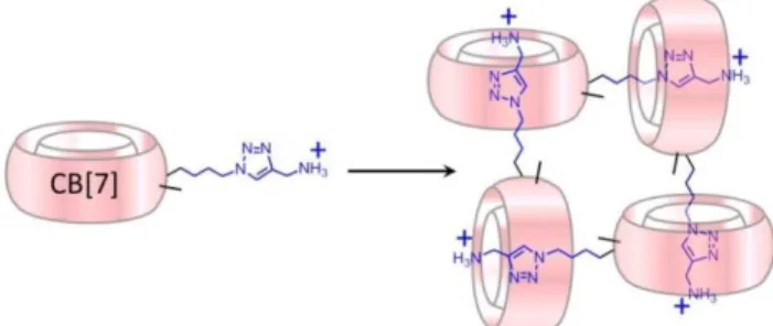 Figure 19. Example of a tetramer of a CB[7] derivative regarded as a covalent  analogue of the 4:4 assemblies.