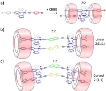 Figure 9. Three types of 2:2 complexes based on asymmetric guest molecules  (a and b) and a bis-biphenylammonium-urea (c) with CB[8]