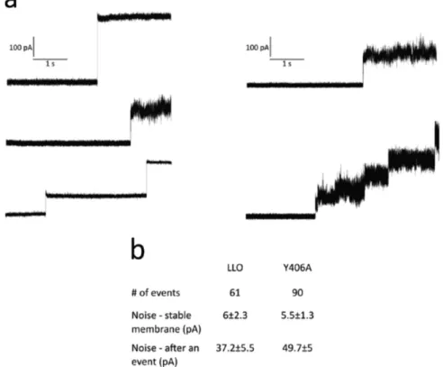 Figure 5.  Electrical measurements of LLO and Y406A pores on PLM (DPhPC:POPC:Chol) at pH 5.5