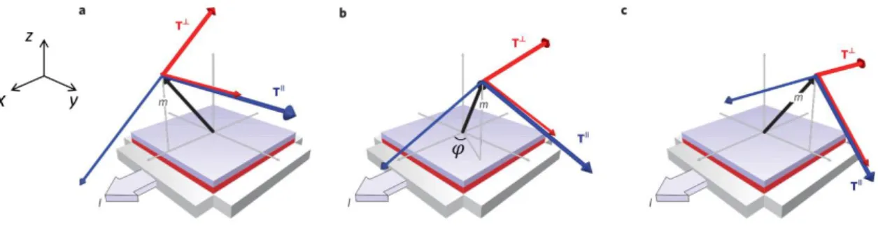 Figure 1-8. Torque schematics and magnetization measurements. The thick arrows indicate the direction  and amplitude of  