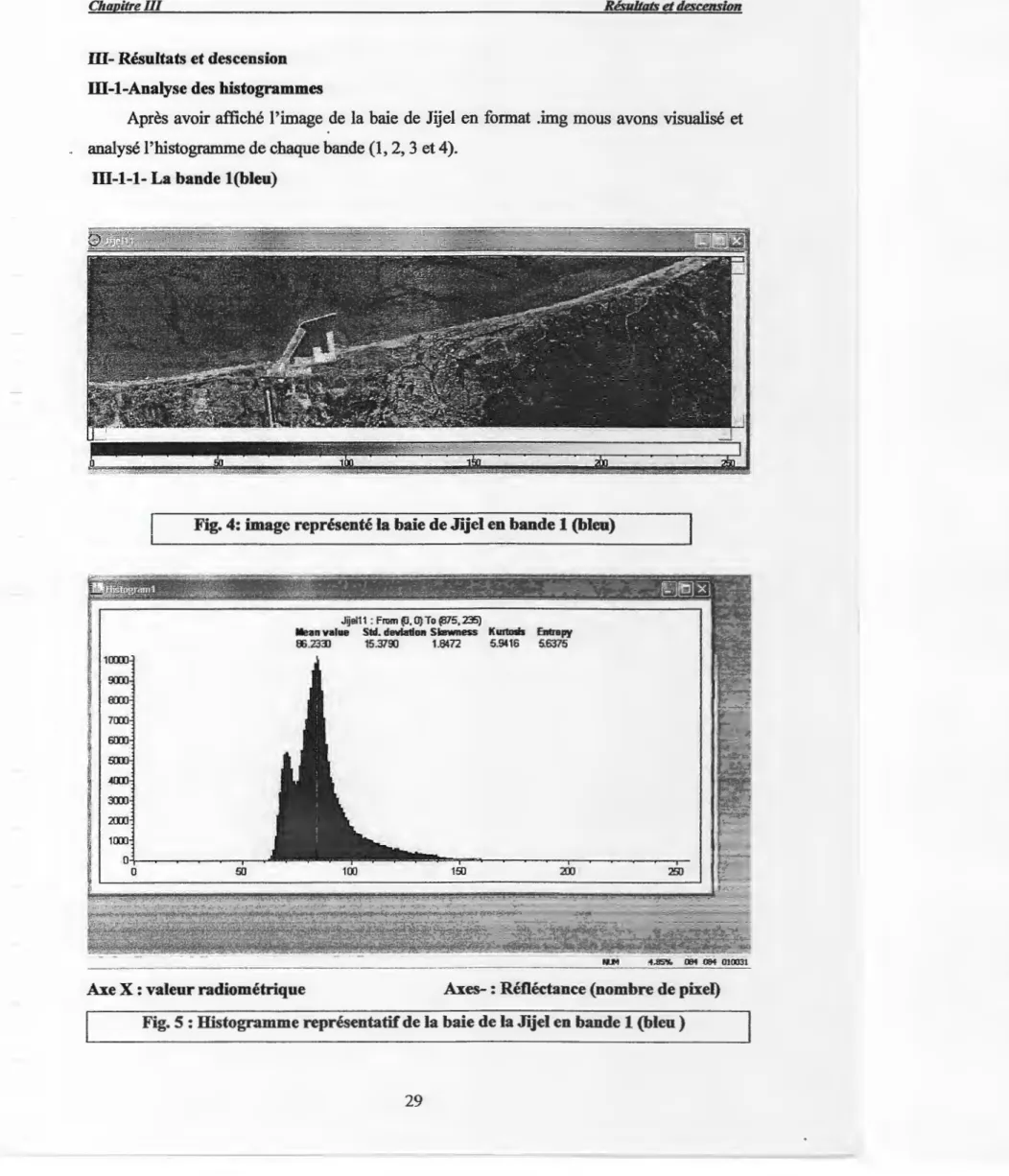 Fig. 4: image représenté  la  baie de Jijel en bande 1 (bleu) 