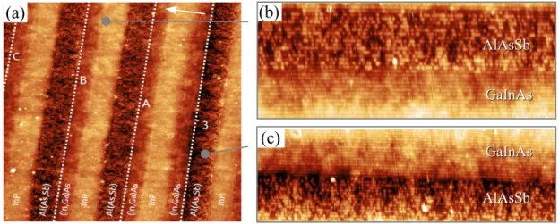 Figure 2.18: Large scale X-STM images of sample S844 (a). The image was taken under constant current mode with negative samples bias (V sample = − 3.5 V, I = 40 pA)