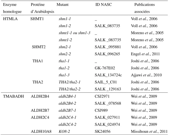 Tableau 18: Mutants de protéines d’Arabidopsis homologues à une protéine impliquée dans la  synthèse de carnitine animale ou de levure