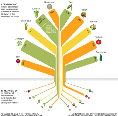 Figure 1.5 Examples of genetic diversity losses in the past century based on the data from the National Center  for  Genetic  Resources  Preservation  (adapted  from   https://medium.com/thenextnorm/importance-of-genetic-diversity-in-agriculture-b9f88f5fda