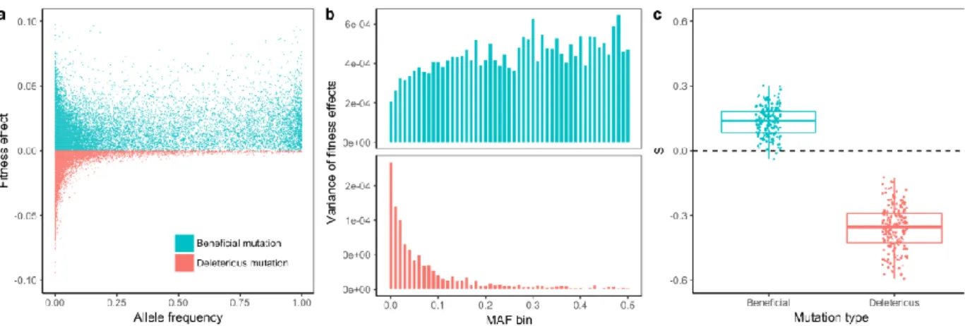 Figure  1.18  Comparison  of  the  selection  score  of  SDS  and  iHS  with  different  selection  generations  (adapted from Field et al