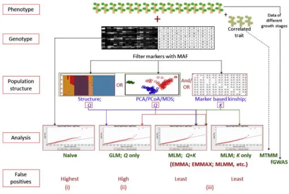 Figure 1.23 Schematic representations of various steps involved in association analysis