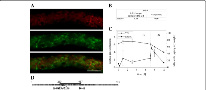 Fig. 7 Properties of LiSDP1. a Subcellular localization of LiSDP1-mVenus in N. tabacum pollen tubes