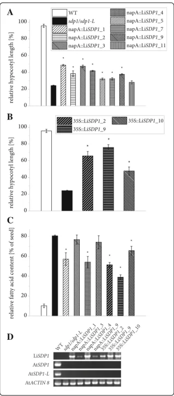 Fig. 8 Functional complementation of postgerminative growth in etiolated A. thaliana sdp1/sdp1-L seedlings by LiSDP1 expression