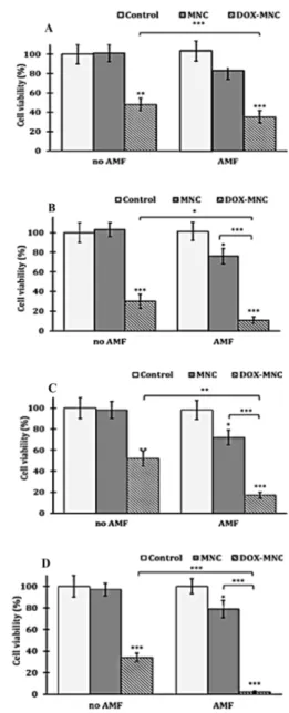 Figure 5. 24 h (A, C) and 48 h (B, D) post treatment cell viabilities  of internalized nanoparticle hyperthermia for MCF-7 cells (A, B)  and U-87 (C, D) after exposing with or without an AMF (1 h at f 