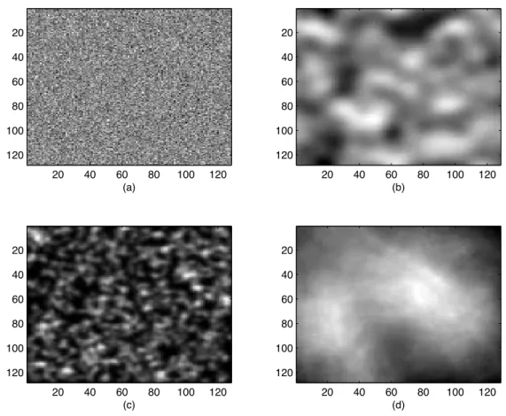 Figure 3.1: Examples of four background model simulations: (a) White Gaussian Background (WNB) ; (b) Correlated Gaussian Background (CGB); (c) Lumpy Background (LB); (d) Clustered Lumpy Background (CLB).