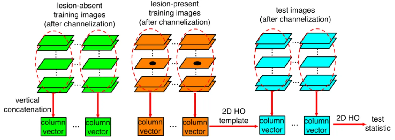Figure 3.9: The msCHO c paradigm: column vectors are obtained from the channelized training images, then the 2D HO template is applied directly on the column vectors.