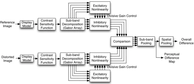 Figure 4.3: Block diagram of the Visual Contrast Gain Control model (VCGC) model