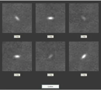 Figure 5.1: An example of one trial of experiment one (Exp 1) with six synthetic lesions.