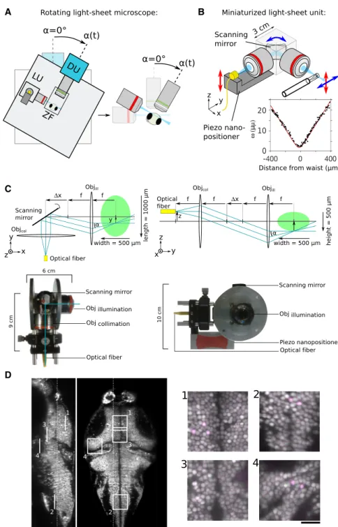 Figure 1. Experimental Setup and Imaging Performance