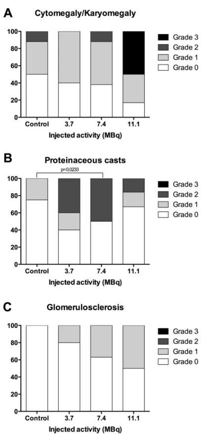 Fig 8. Grade of activity-related renal histological features. Activity-related increases in (A) cytomegaly/