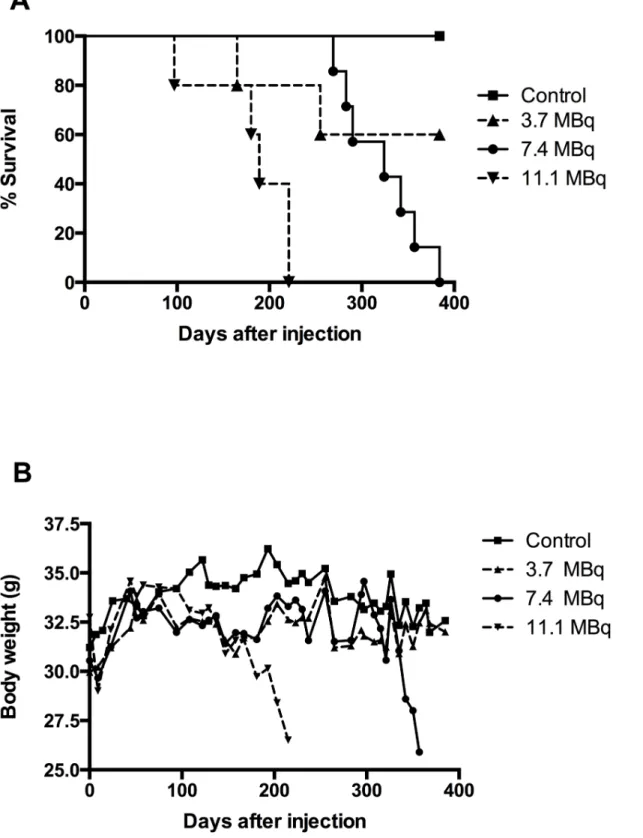 Fig 2. Total body weight and survival of mice injected with increasing activities of 213 Bi-BSA