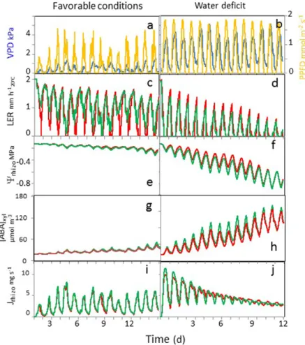 Fig. 4. Comparative advantages of high or low oscillation amplitudes of root hydraulic  conductance under low (left) and high (right) evaporative demand (see [a]  photo-synthetic photon flux density, PPFD, and [b] vapor pressure deficit, VPD)