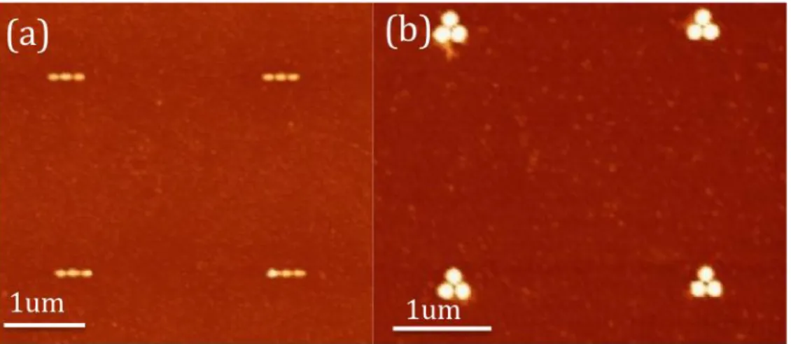 Fig.  2-3:  AFM  image  of  Au  nanostructures  obtained  by  electron-beam  lithography  and  the  lift-off  process