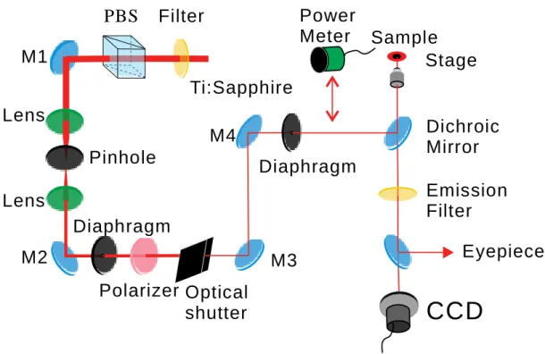 Fig.  2-14:  Scheme  of  the  optical  configuration  for  photo-induced  topography  of  PMMA-DR1