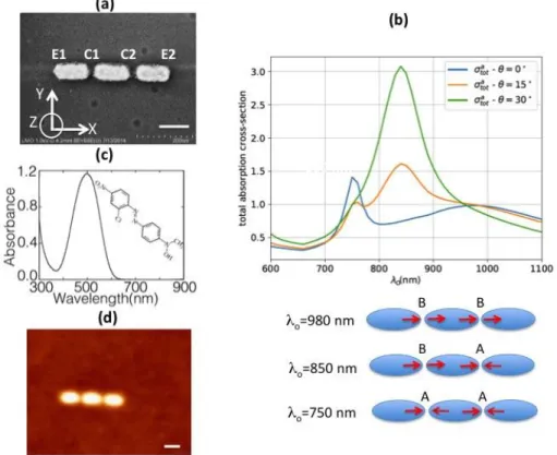 Fig.  3-1:  Plasmonic  trimer  and  molecular  probe.  (a)  SEM  image  of  the  studied  trimer