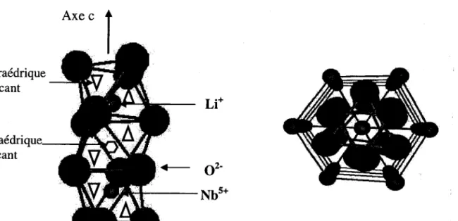 Fig II-1-  3.  CeIIuIe éIémentaire de LN dans Ia phase FE  Réseau hexagonal
