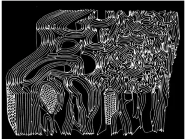 Fig. 1.5 Schematic three-dimensional representation of structure in PAN-based carbon fibers  [8]