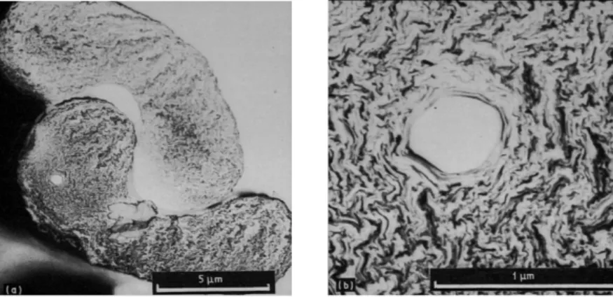 Fig. 1.6 Scanning electron micrographs of PAN-based GY-70 carbon fibers at (a) low and (b)  high magnification*