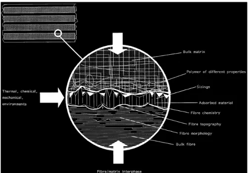 Fig.  1.9  Characteristics  of  the  fiber/matrix  interphase  in  a  composite  material