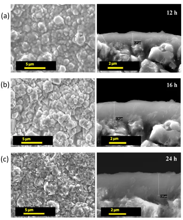 Figure 2. Scanning electron microscopy (SEM) images of FAU-type zeolite membranes prepared on  Alconox ® -treated (a,b,c) α-Al 2 O 3  support at 75 °C for 12, 16 and 24 h