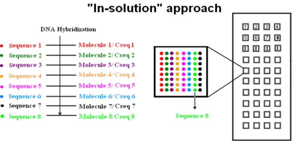 Fig3  Sketch  map  of  cross-hybridization  assay  of  eight  molecules  (molecule  1-8)  under 