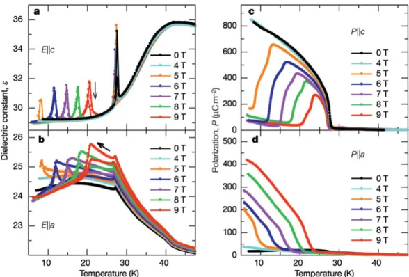 Fig. 1. 1 Direct ME effect of single-phase TbMnO 3 : Electric polarization induced by an  applied magnetic filed [42]