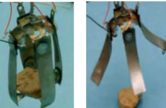 Fig. 1. 9 EAP gripper grabs rocks and works as artificial muscle [76] 