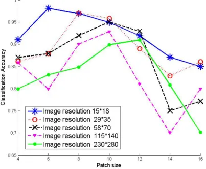 Figure 4.8: Experiment result for parameter discussion - Average classification rates for different resolutions and different patch sizes for DLSR algorithm.
