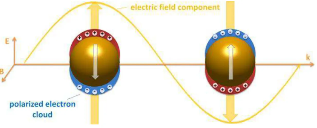 Figure  1.2:  Excitation  of  particles  plasmons  through  the  polarization  of  metallic  nanoparticles