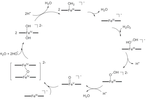 Figure 30. General mechanism of Fe(TAML) activating H 2 O 2 . 