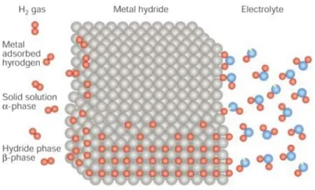 Figure I.3 Schematic model of a metal structure with H atoms in the interstices  between the metal atoms, and H 2  molecules at the surface [6]
