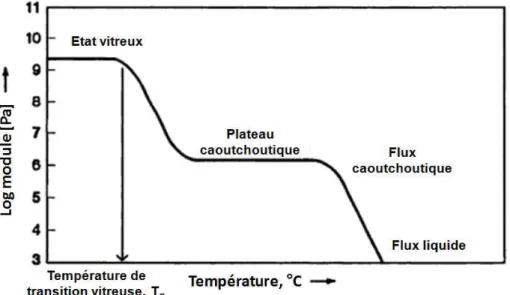 Figure I. 3. Variation du module d’Young d’un polymère thermoplastique en fonction de la  température [Hil_2002]